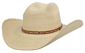Blackfoot Palm Idaho Crown Hat
